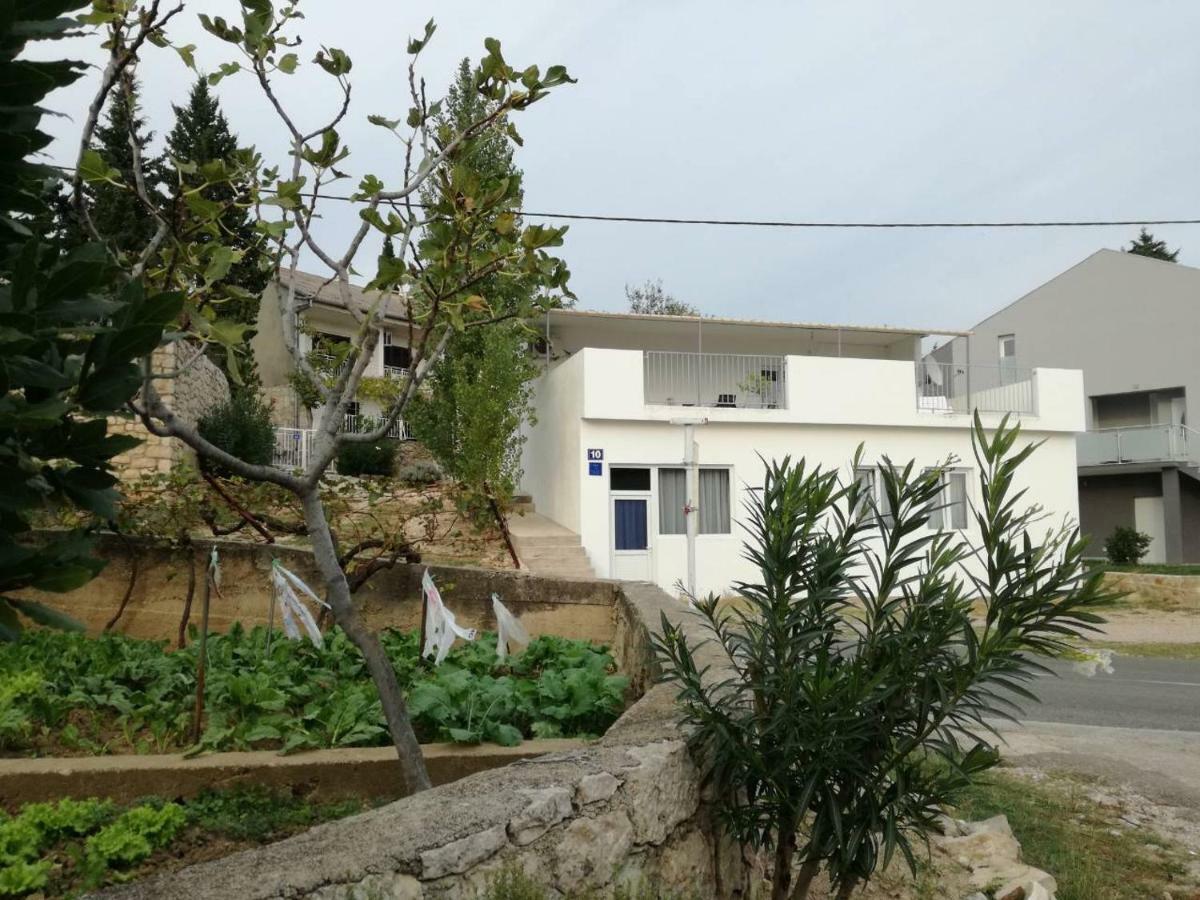 马斯莱尼察House Zara别墅 外观 照片